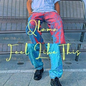 Listen to Feel Like This (feat. SKYKIDD) song with lyrics from Qlama
