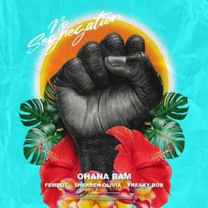 Dengarkan No Segregation (Explicit) lagu dari Ohana Bam dengan lirik