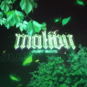 ดาวน์โหลดและฟังเพลง Malibú พร้อมเนื้อเพลงจาก Just Sayz