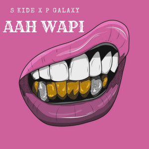 Listen to Aah Wapi song with lyrics from S Kide
