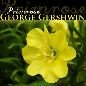 ดาวน์โหลดและฟังเพลง Ballet Music พร้อมเนื้อเพลงจาก George Gershwin