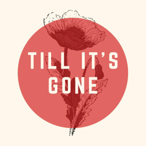 Album Till It's Gone from Pandas