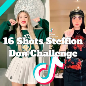 Dengarkan lagu 16 Shots Stefflon Don Challenge nyanyian Tendency Challenge dengan lirik