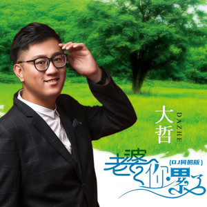 Listen to 老婆你累了 (Dj何鹏版) song with lyrics from 大哲