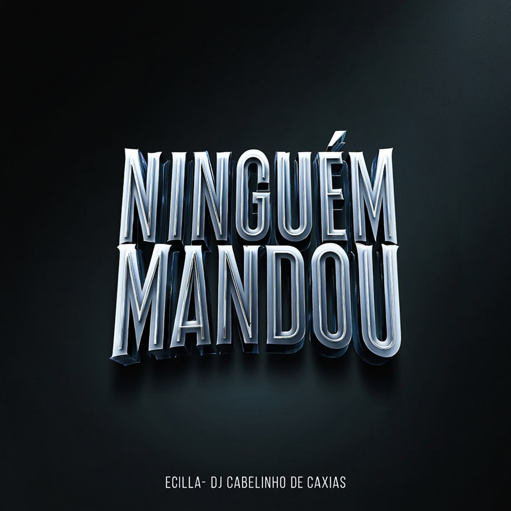 Ninguém Mandou (Explicit)