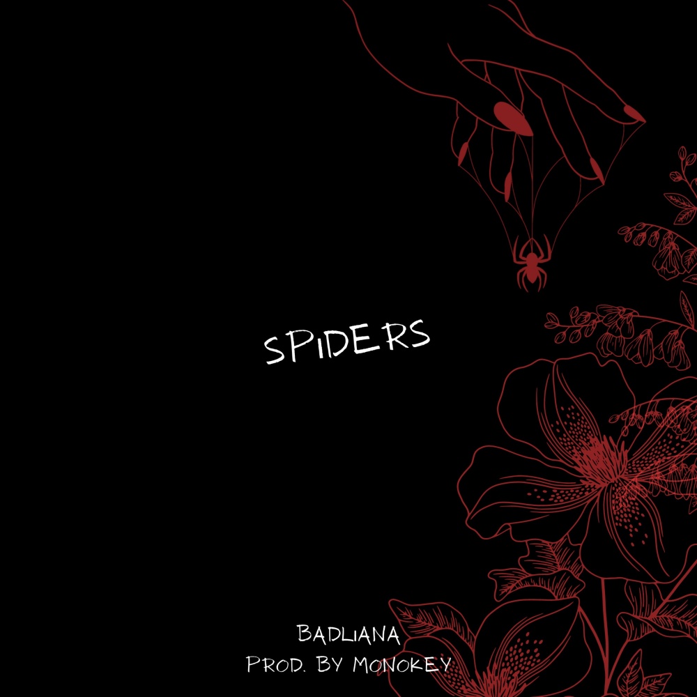 Spiders