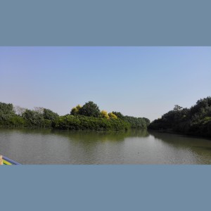 收听BruceHuang黄伟的枫叶秋 (完整版)歌词歌曲