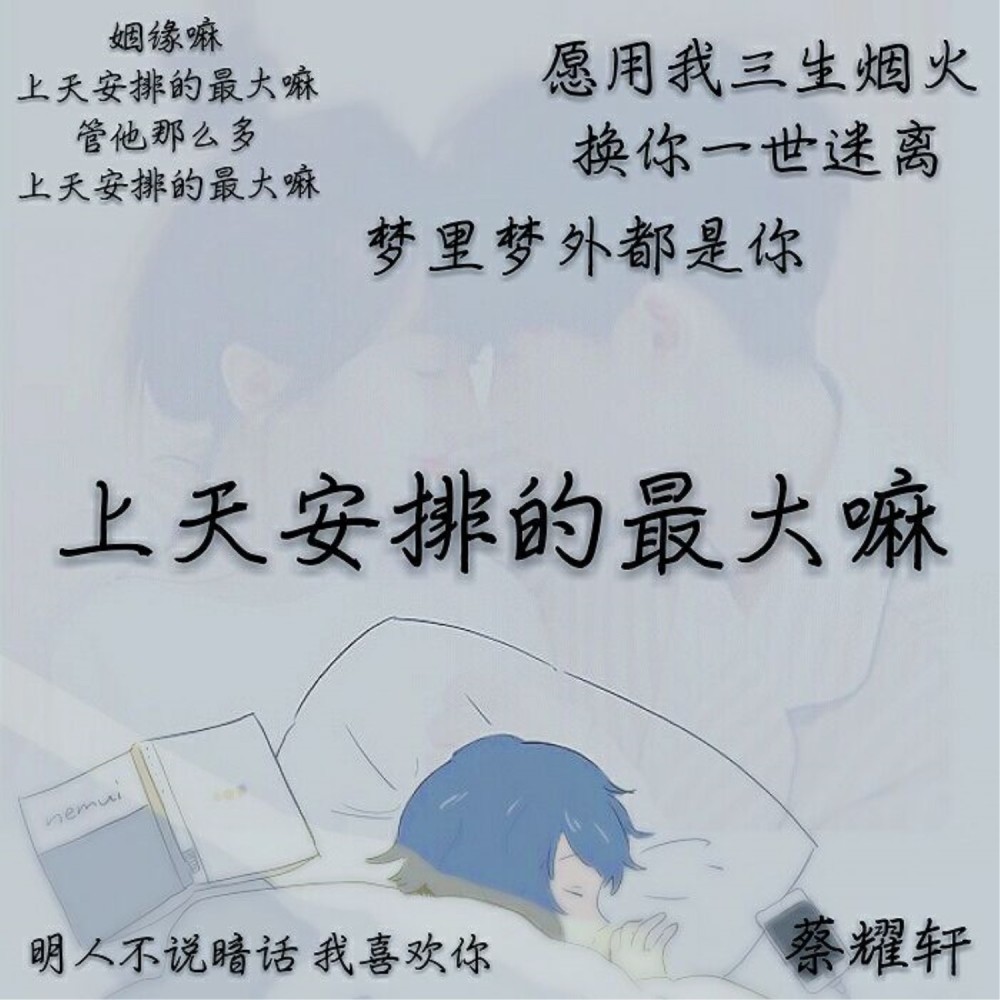 明人不说暗话 我喜欢你 (Remix)