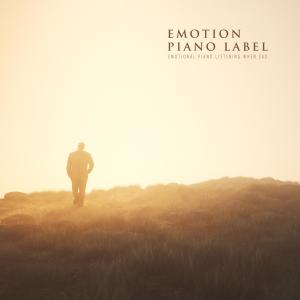 Various Artists的專輯Emotional Piano Listening When Sad