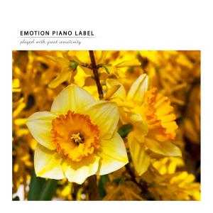 收听Love Earth的A beautiful person named you歌词歌曲