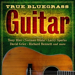 Various Artists的專輯True Bluegrass Guitar