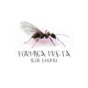 Listen to Cura song with lyrics from Igor Gnomo