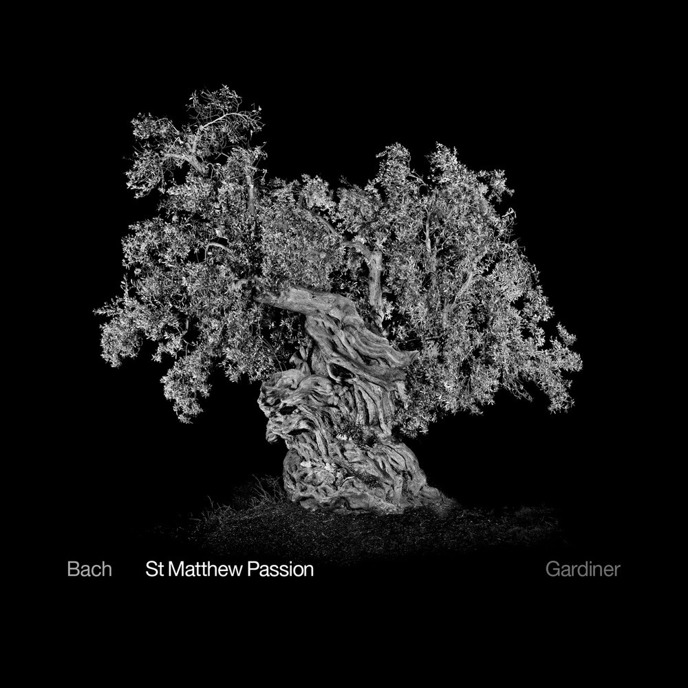 St. Matthew Passion, BWV 244: Part I: Blute nur, du liebes Herz (Soprano)