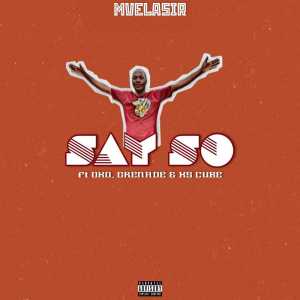 收听MvelaSir的Say So (Demo) (Explicit) (Demo|Explicit)歌词歌曲