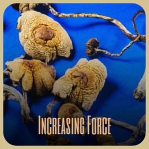 Album Increasing Force from 