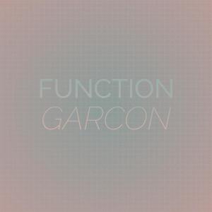 อัลบัม Function Garcon ศิลปิน Various