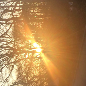 Dengarkan Look to the Sun lagu dari Samantha O'Donoghue dengan lirik