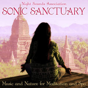 Listen to Verdant Harmony song with lyrics from Night Sounds Association