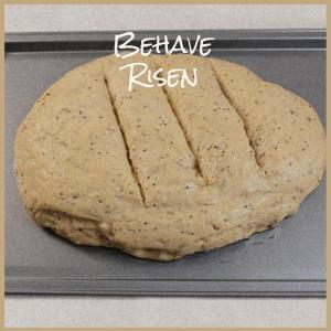 Album Behave Risen from Various
