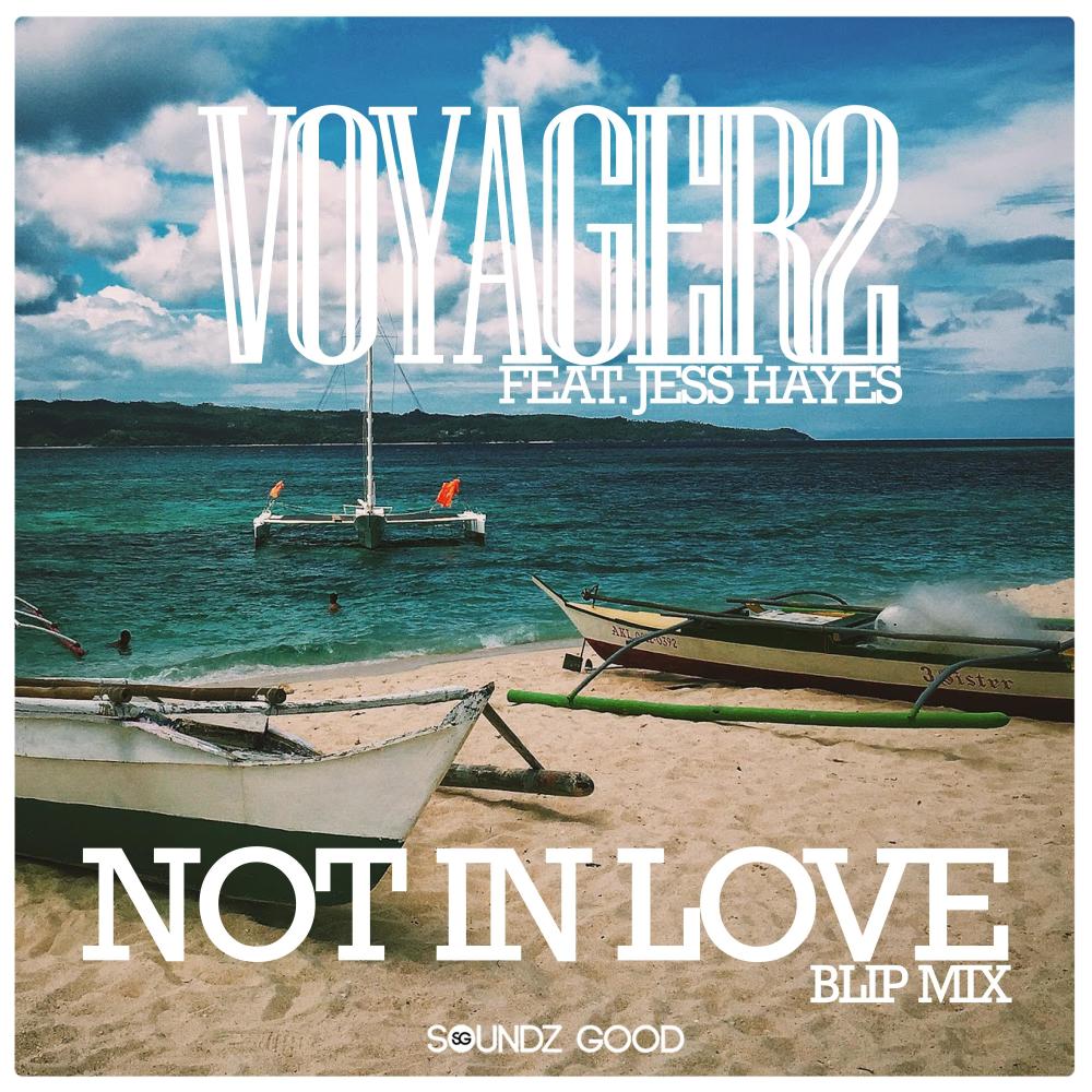 Not In Love (feat. Jess Hayes) [Blip Mix] {Mixed} (Blip Mix)