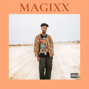 Listen to Gratitude song with lyrics from Magixx