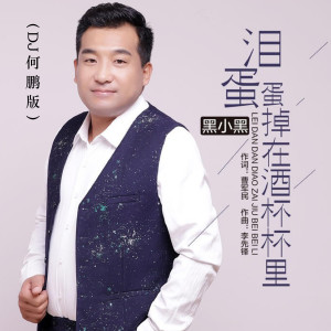收聽黑小黑的淚蛋蛋掉在酒杯杯裏 (Dj何鵬版) (DJ何鵬版)歌詞歌曲