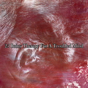 อัลบัม 25 Rainy Therapy For A Troubled Mind ศิลปิน Meditation Rain Sounds