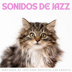 Jazz Clasico的專輯Sonidos De Jazz: Canciones De Jazz Para Mascotas Con Energía