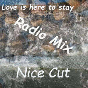 Nice Cut的專輯Love is here to stay