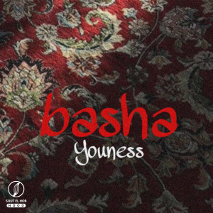 Listen to basha song with lyrics from Youness