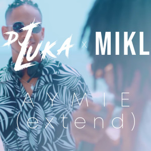 Listen to Aymie (Extend) song with lyrics from DJ Luka