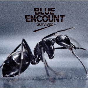 收聽BLUE ENCOUNT的Hope歌詞歌曲