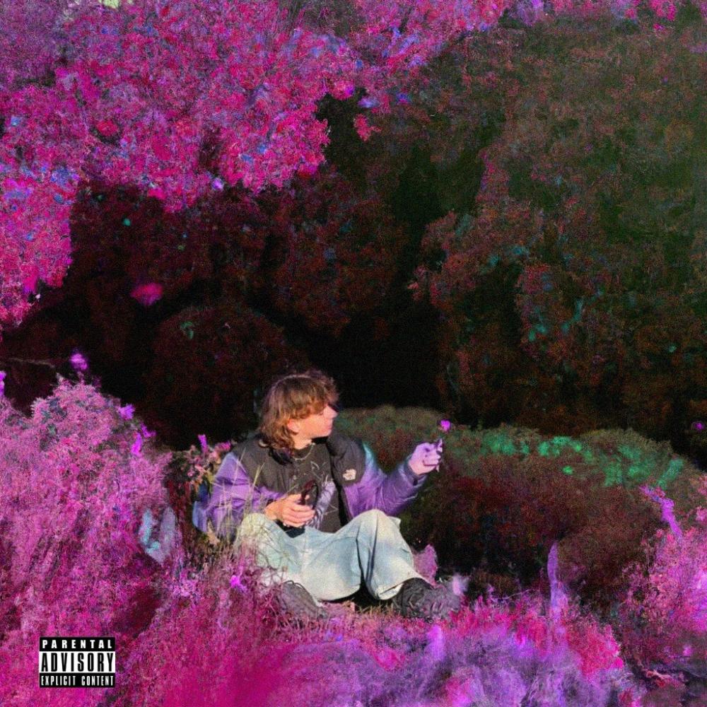THE STARS (feat. AC Flow) (Explicit)