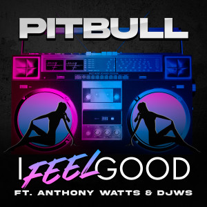 收聽Pitbull的I Feel Good (Instrumental)歌詞歌曲