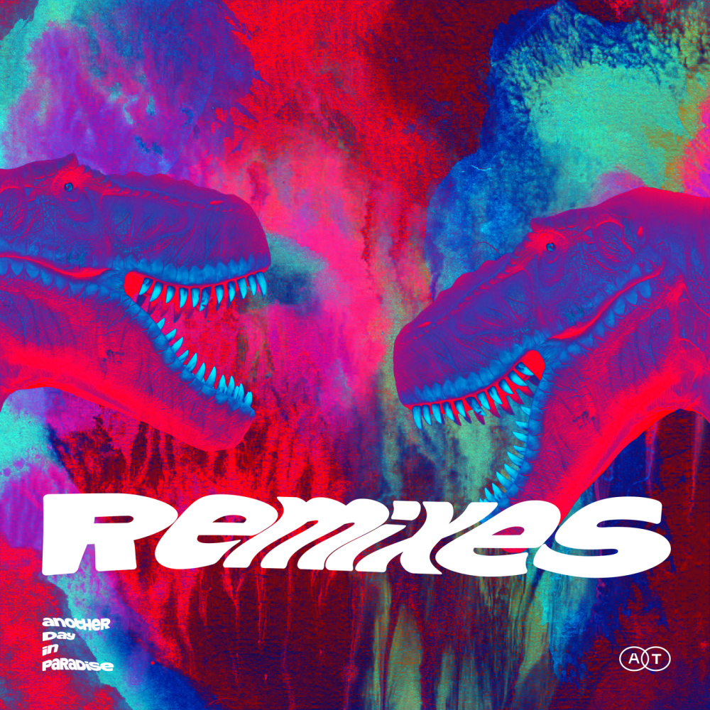Another Day In Paradise (Zoom.Like Remix)