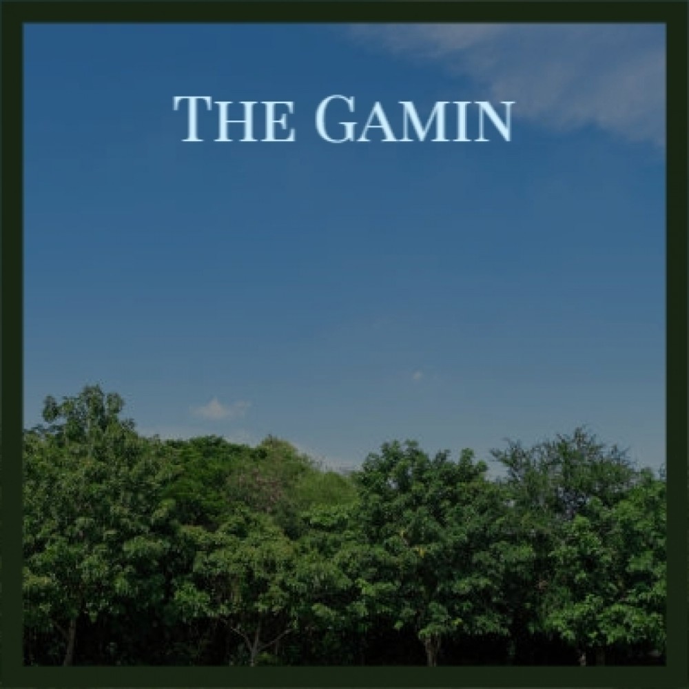 The Gamin