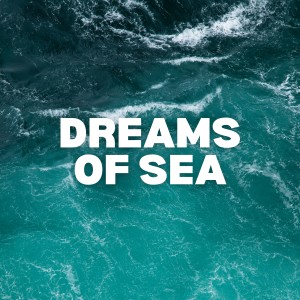 Listen to Dreams by the Sea, Pt. 13 song with lyrics from Ocean Sounds