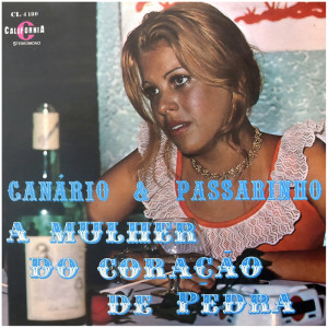 ดาวน์โหลดและฟังเพลง Rancho Barreado พร้อมเนื้อเพลงจาก Canario E Passarinho