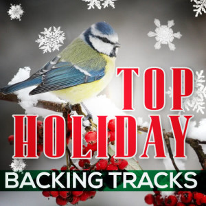 收聽Karaoke的Santa Looked a Lot Like Daddy (Originally Performed by Buck Owens) [Karaoke Version] (Karaoke Version)歌詞歌曲