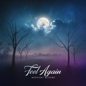 Listen to Feel Again song with lyrics from Midnight Blooms