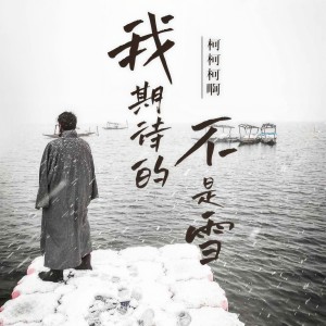 收听柯柯柯啊的我期待的不是雪 (弹唱版伴奏)歌词歌曲