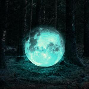 Album Isn't Silence What You Wanted? from 