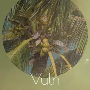 Listen to Vuln song with lyrics from Jaya Coey