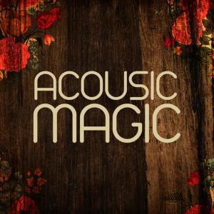 Acoustic Magic