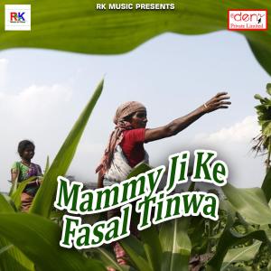 ดาวน์โหลดและฟังเพลง Rangwal Choli Ke Khajnwa พร้อมเนื้อเพลงจาก SK Yadav
