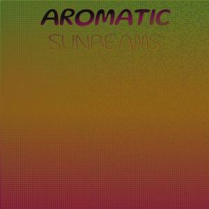 Various Artists的專輯Aromatic Sunbeams