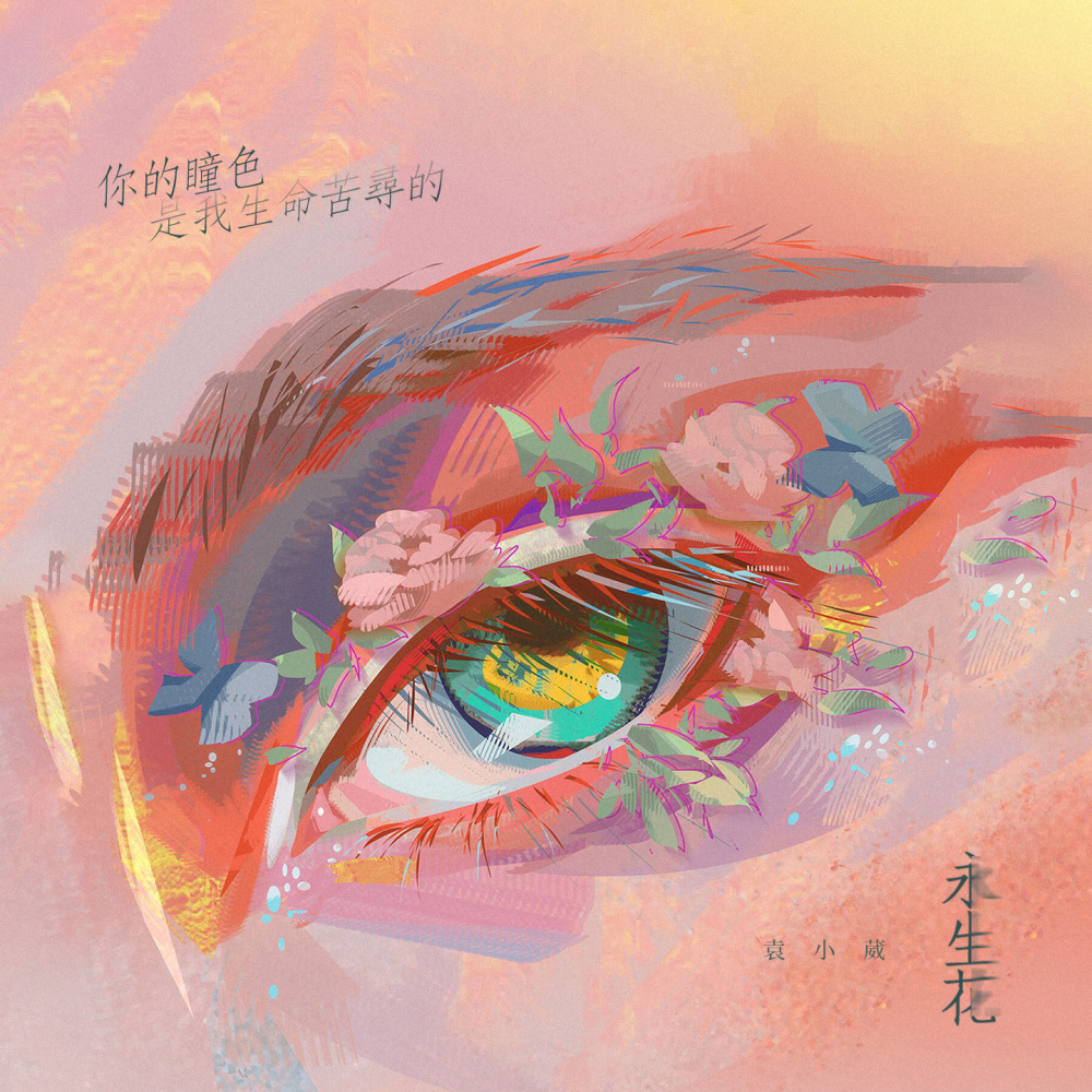 你的瞳色是我生命苦寻的永生花 (X1.2加速版伴奏)