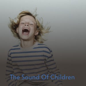 Dengarkan lagu The Sound of Children nyanyian The Doodletown Pipers dengan lirik