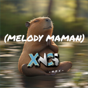 Album MELODY MAMAN from XNCS RMX