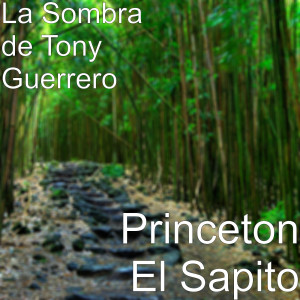 La Sombra De Tony Guerrero的专辑Princeton El Sapito